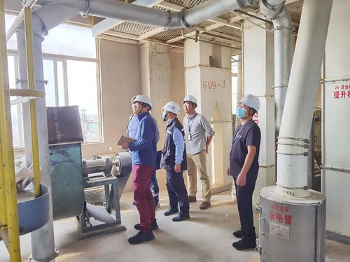 早安，陽江！優質初級農產品斬獲多項大獎，品牌實力再“出圈”
