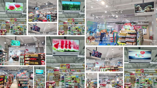 鯉想記丨山東品牌農產品頻道十一 持續發力，構建初級農產品品質長城